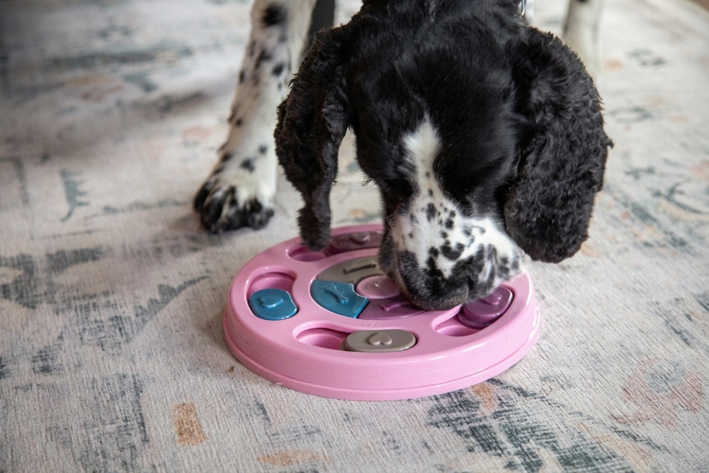 Kivora Pets™ Interactive Puzzle Feeder