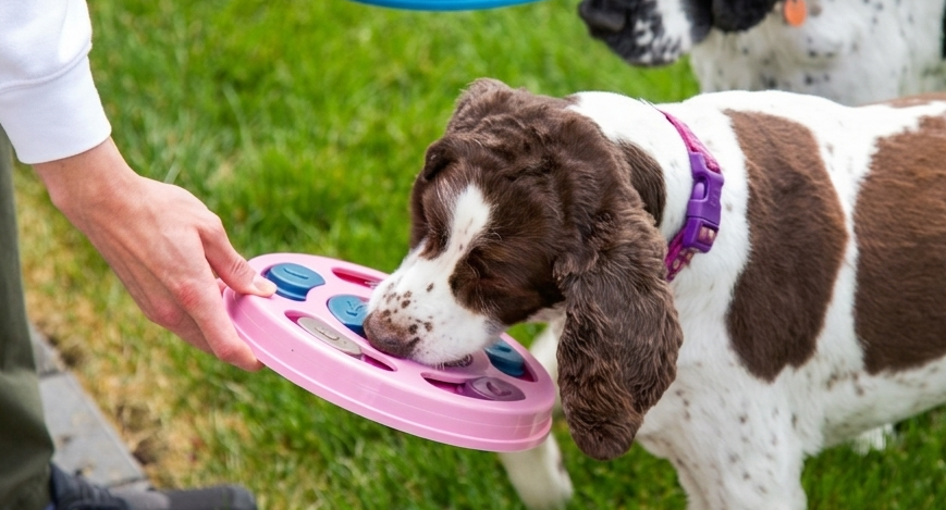 Kivora Pets™ Interactive Puzzle Feeder
