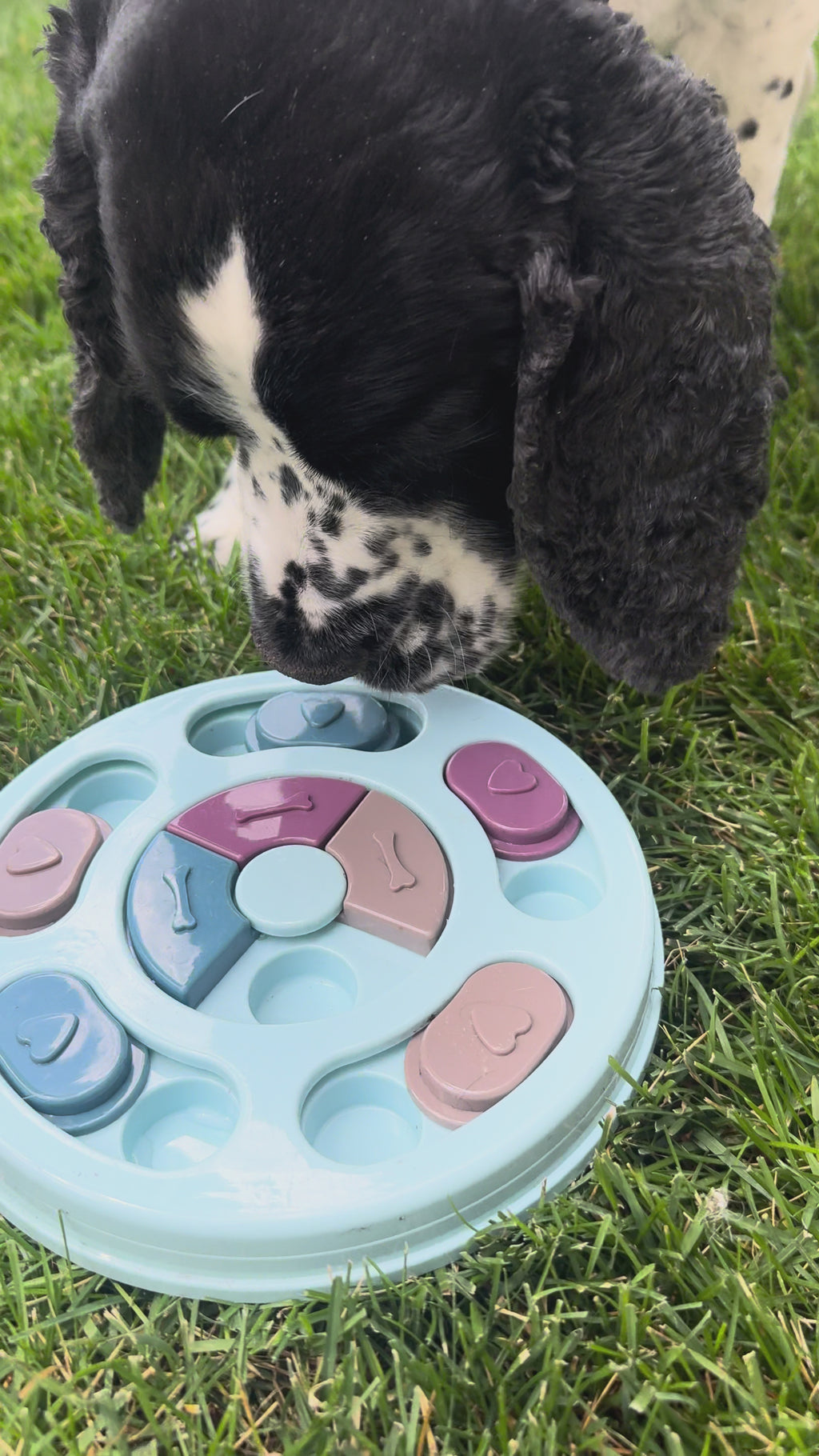 Kivora Pets™ Interactive Puzzle Feeder